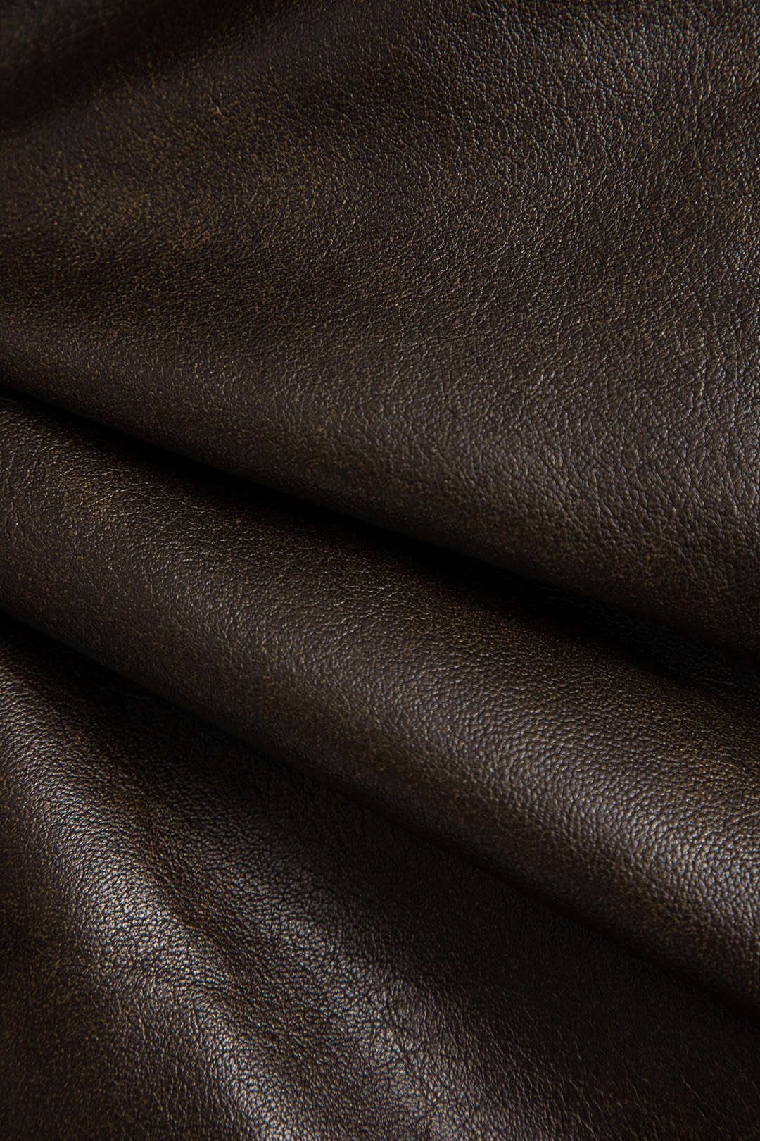 #Color_Brown